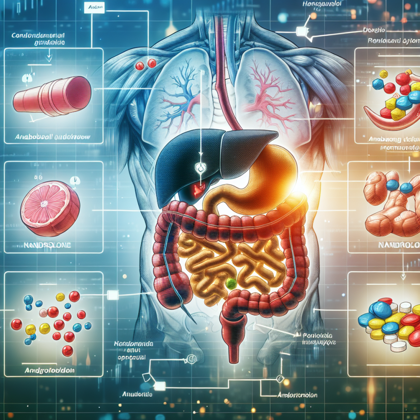 Cómo afecta Nandrolona al sistema digestivo